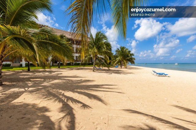 Cozumel_Condo_Monarch by the Sea (6300)_2255