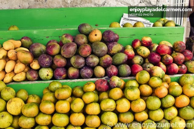 Cozumel_Food_Playa Food Tour_5856