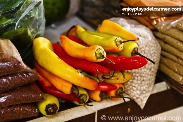 Cozumel_Food_Playa Food Tour_5848