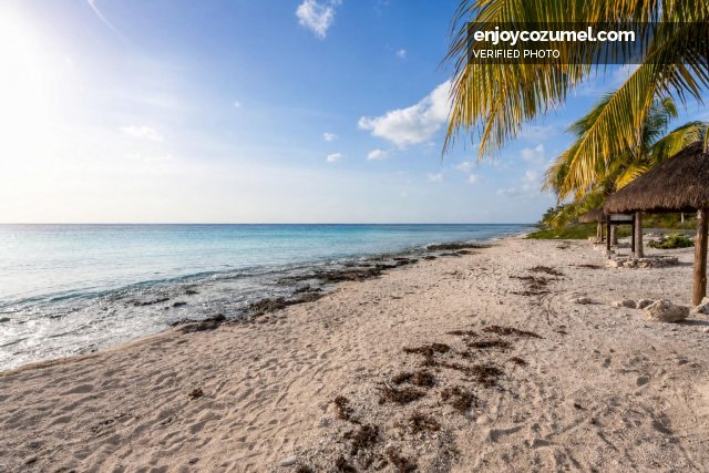 Cozumel_Villa/House_Villa Las Uvas_7035