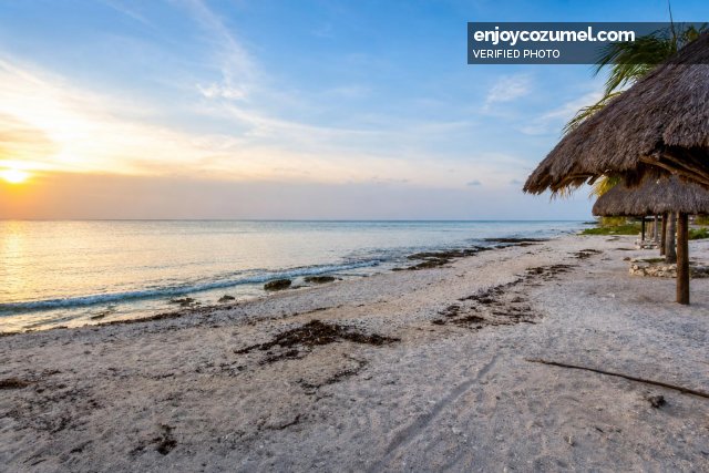 Cozumel_Villa/House_Villa Las Uvas_7066