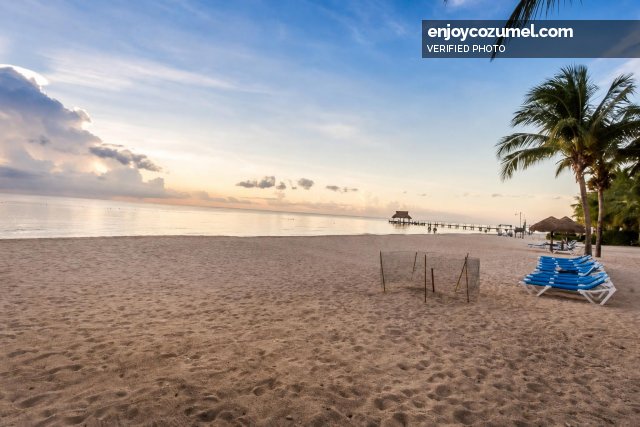 Cozumel_Condo_Residencias Reef 8170_9754