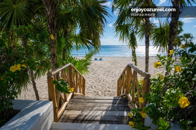 Cozumel_Villa/House_Casa Gordon_12296